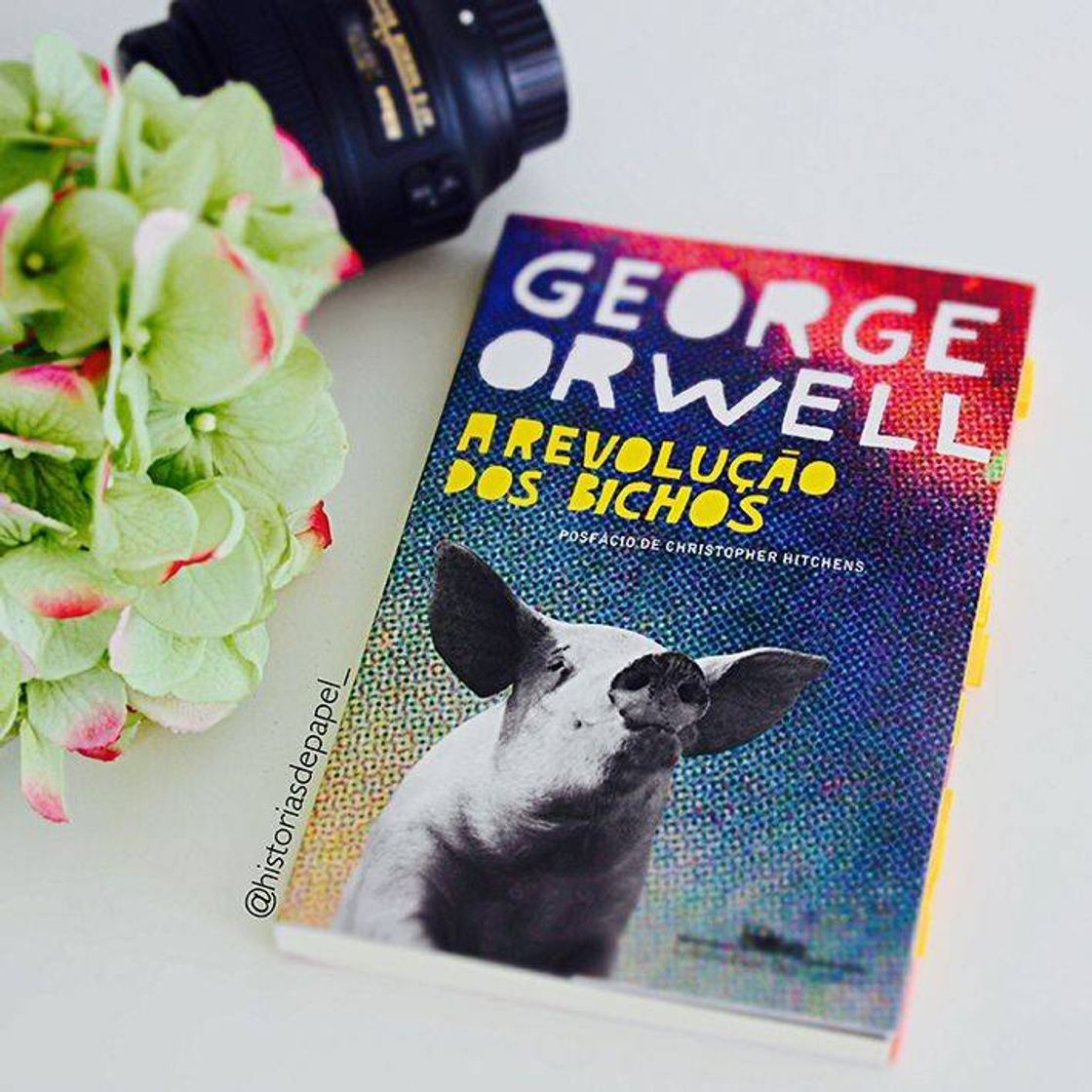 Libro A revolução dos bichos: Um conto de fadas