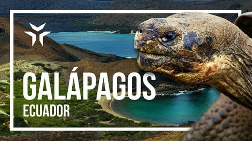 Islas Galápagos (Provincia de Galápagos)🐢