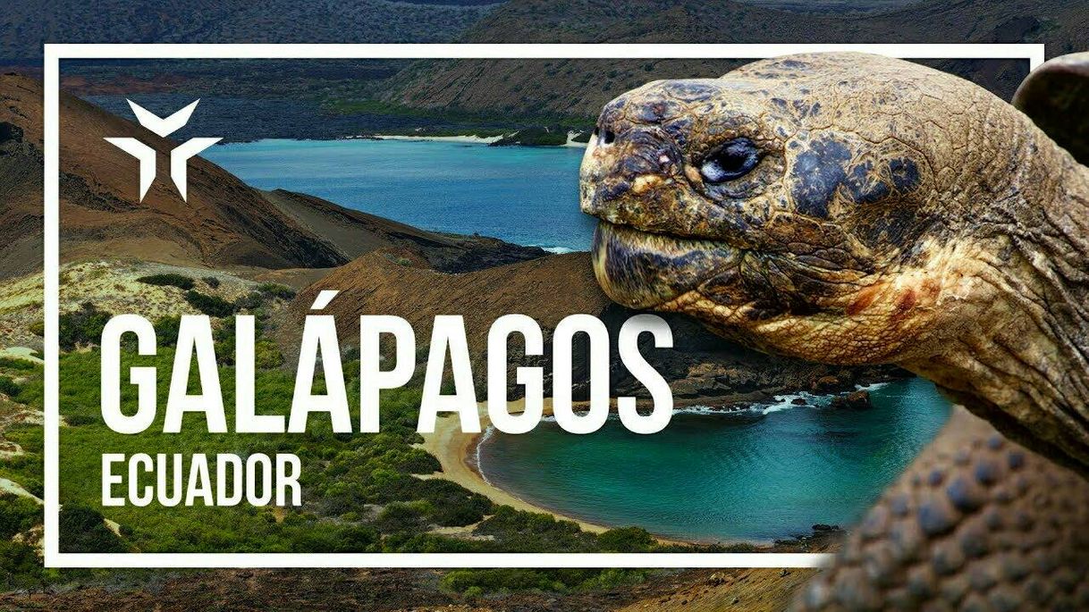 Fashion Islas Galápagos (Provincia de Galápagos)🐢