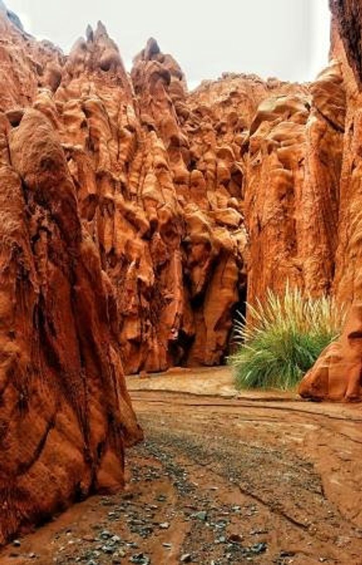 Place Cuevas de Acsibi