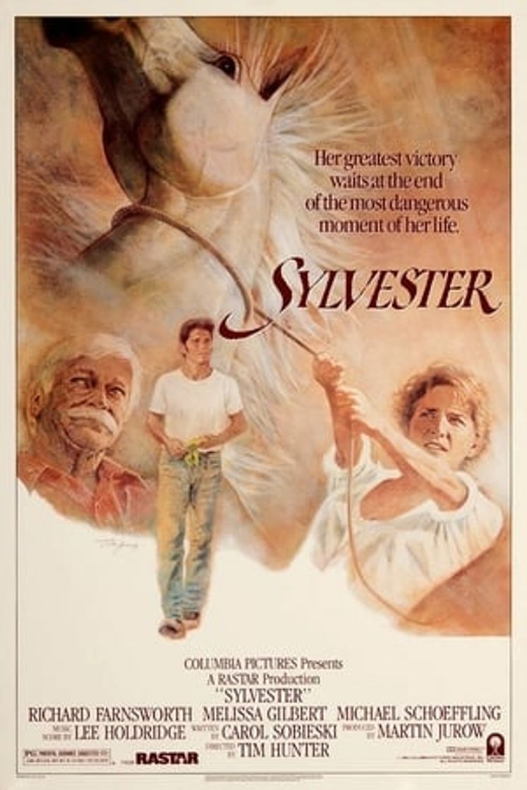 Película Sylvester