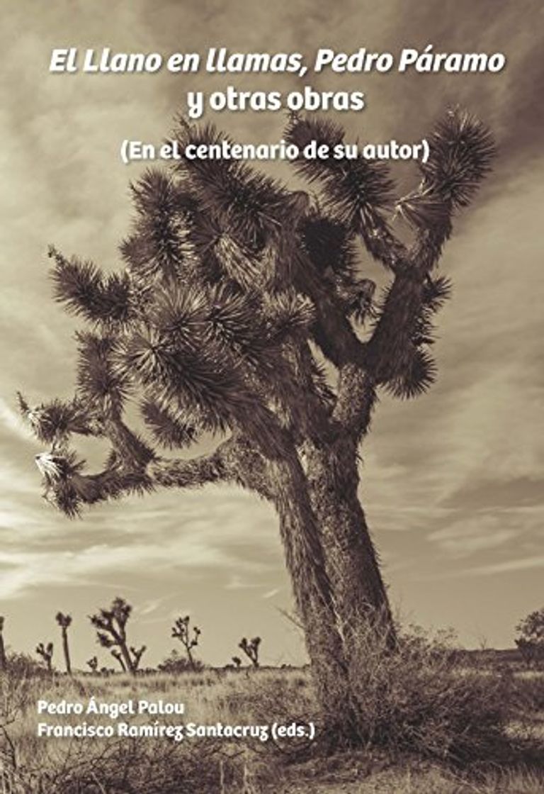 Book El Llano en llamas, Pedro Páramo y otras obras