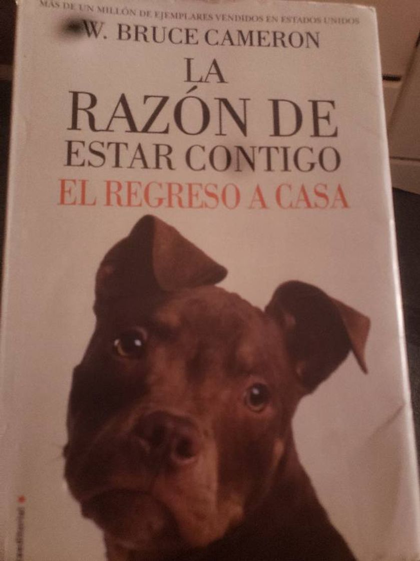 Book La razón de estar contigo. El regreso a casa