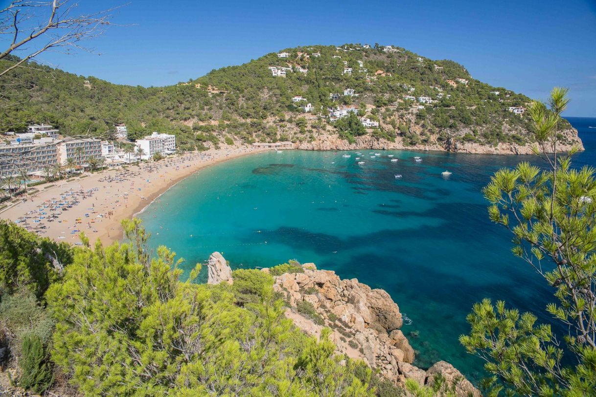 Place Cala de Sant Vicent