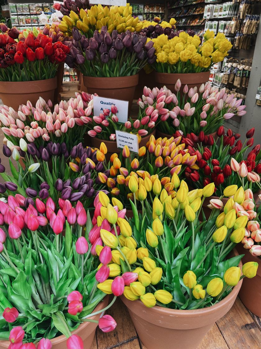 Place Bloemenmarkt