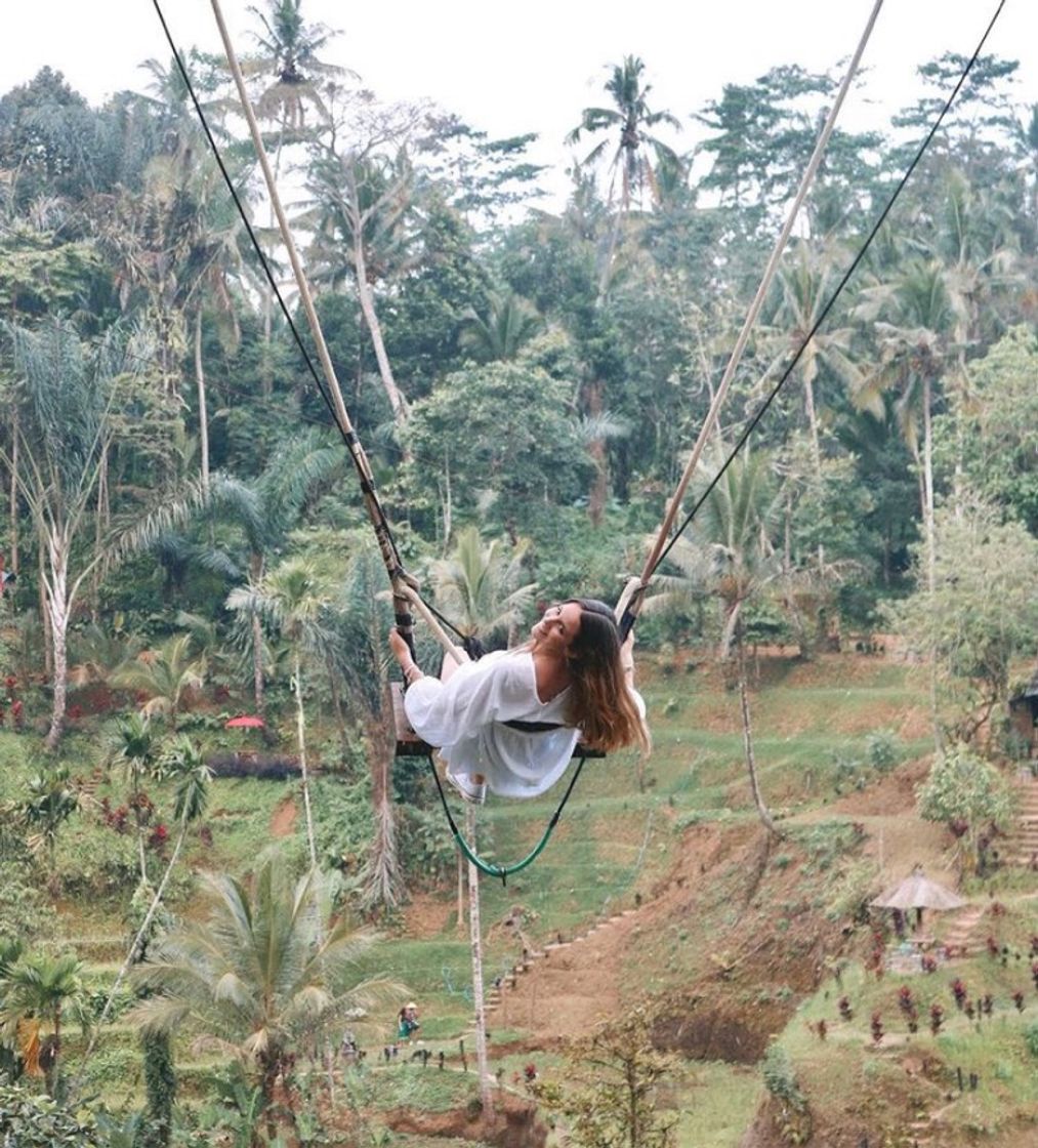 Place Tegallalang Rice Terrace