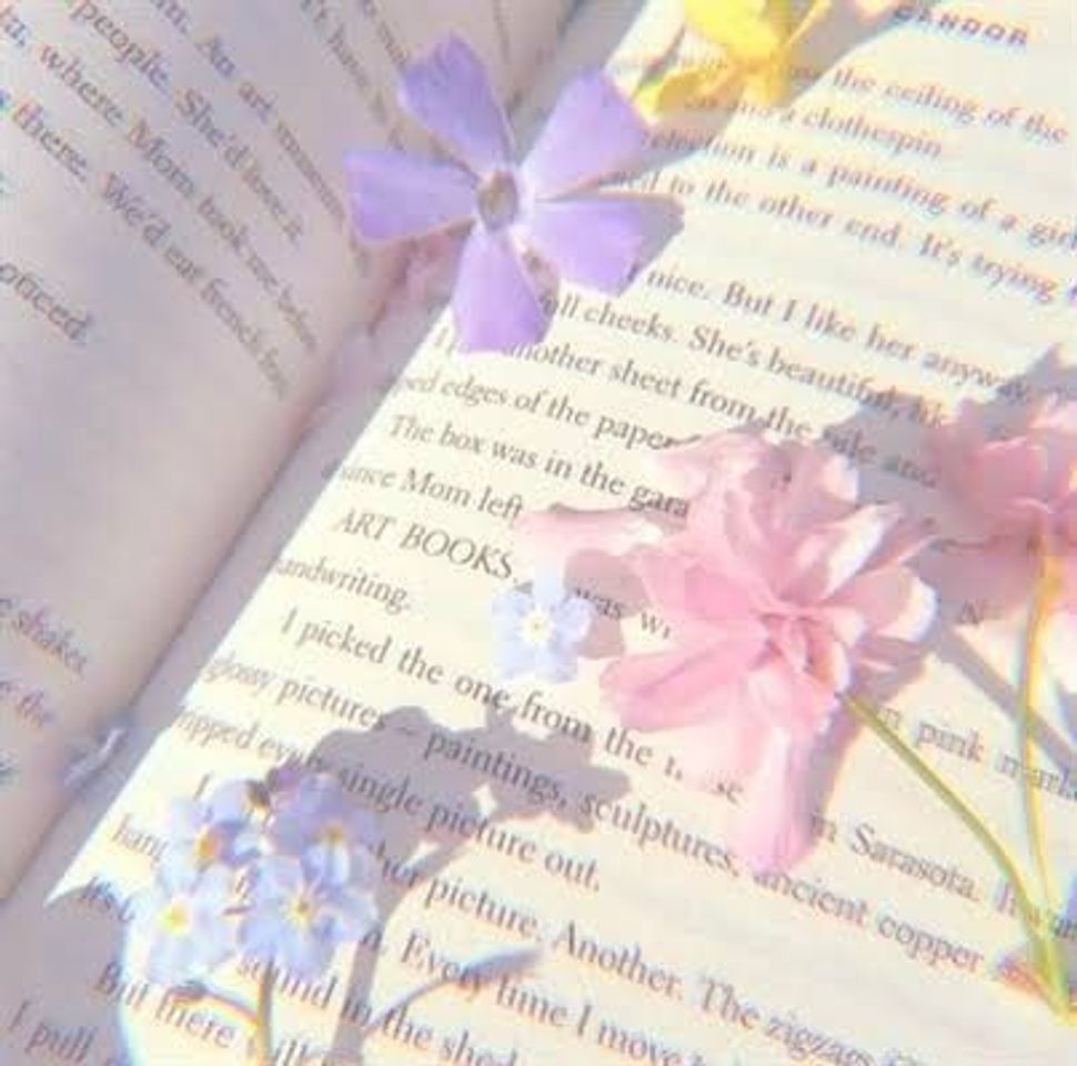 Social 📖🌸🌺
