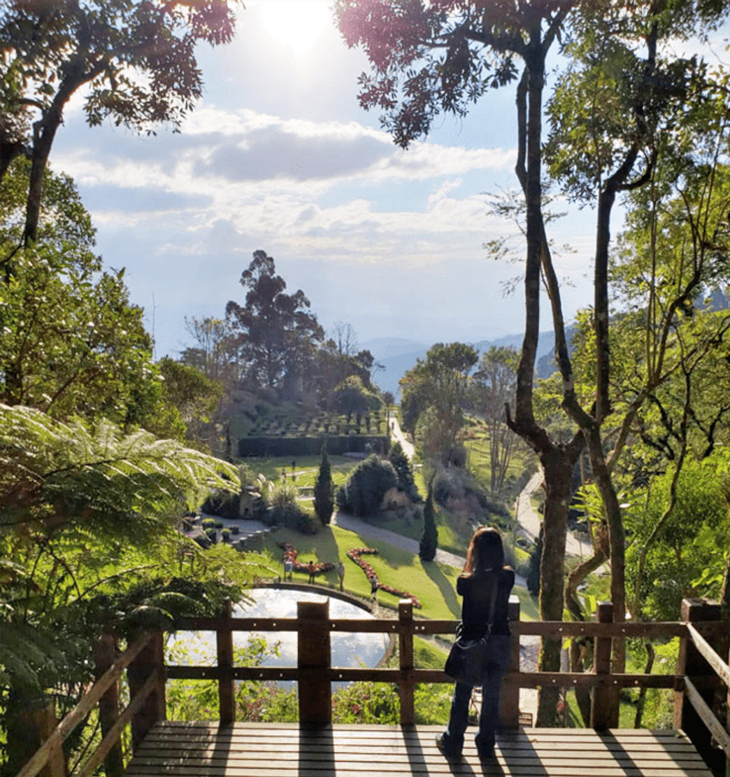 Lugar Parque do Amantikir