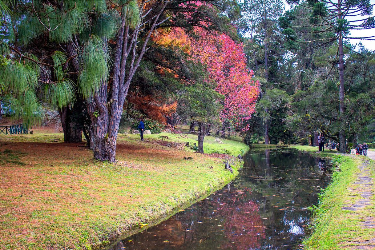 Lugar Parque Estadual Campos do Jordão (Horto Florestal)