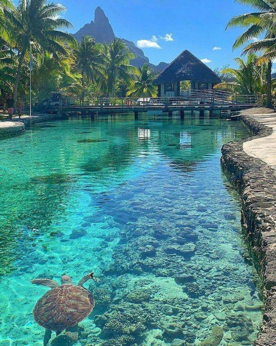 Lugar Bora Bora