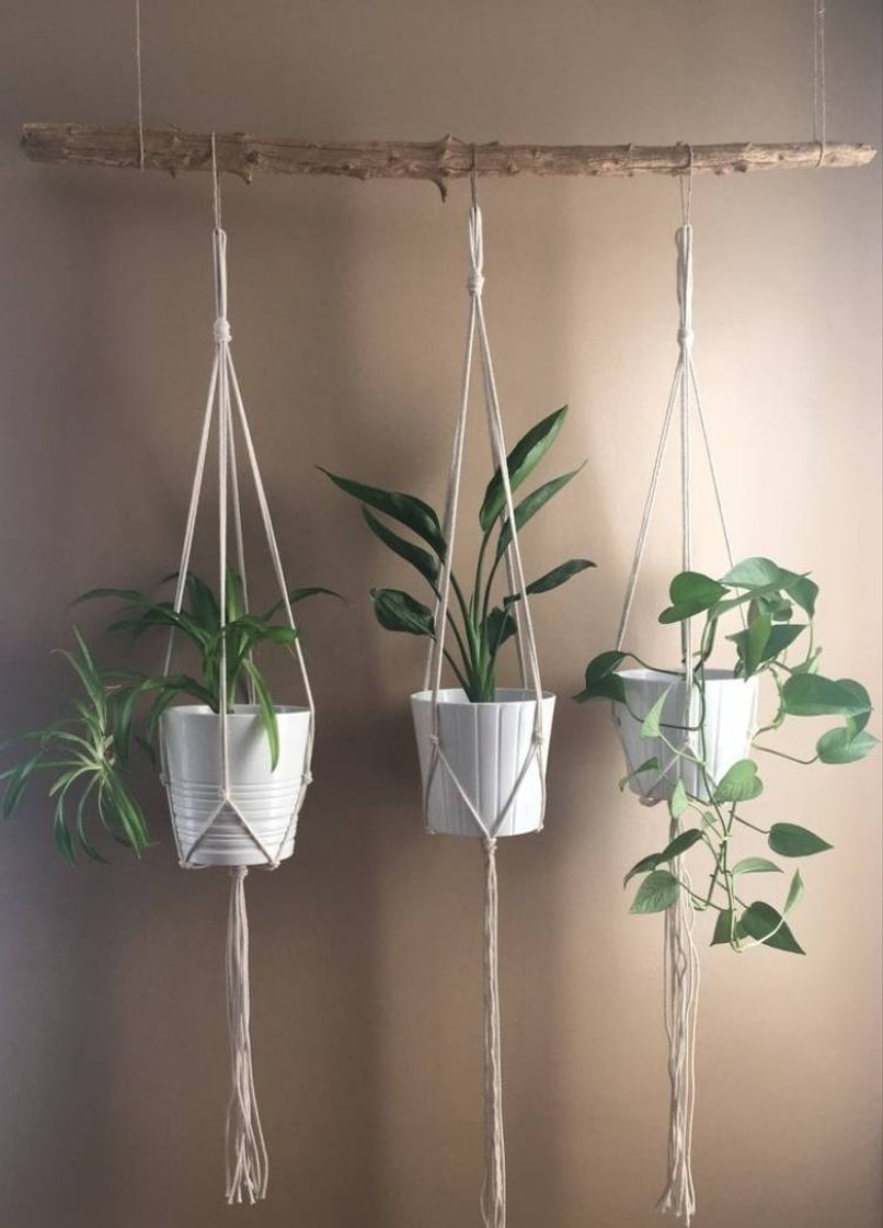 Fashion Minimalist Macrame Plant Hanger