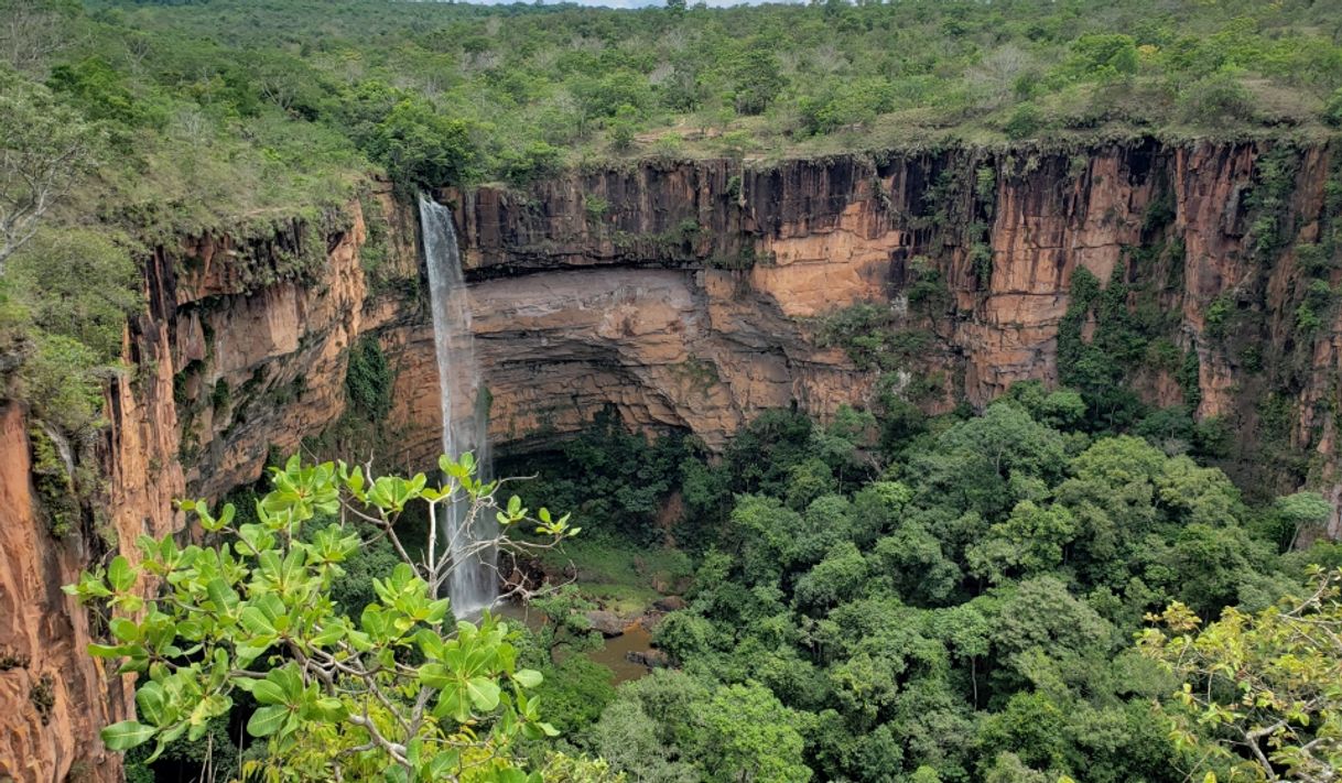 Moda Mato Grosso 