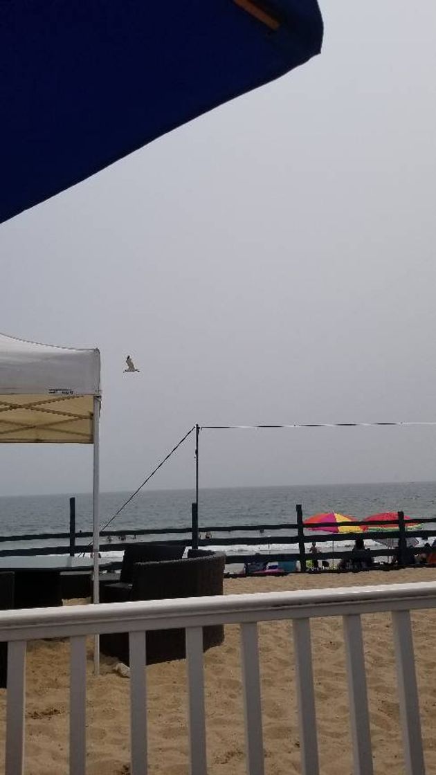 Paddy's Beach Club