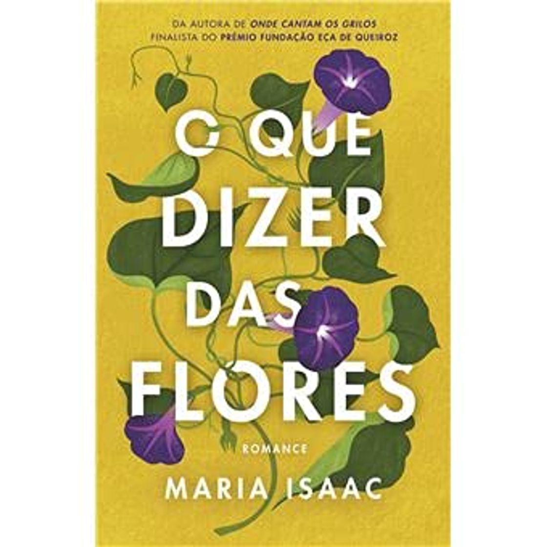 Libro O que Dizer das Flores