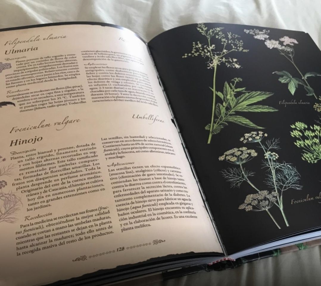 Book Guía plantas medicinales ❇️🌳