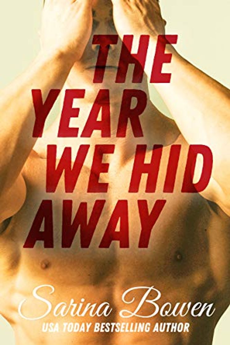 Libros The Year We Hid Away: A Hockey Romance