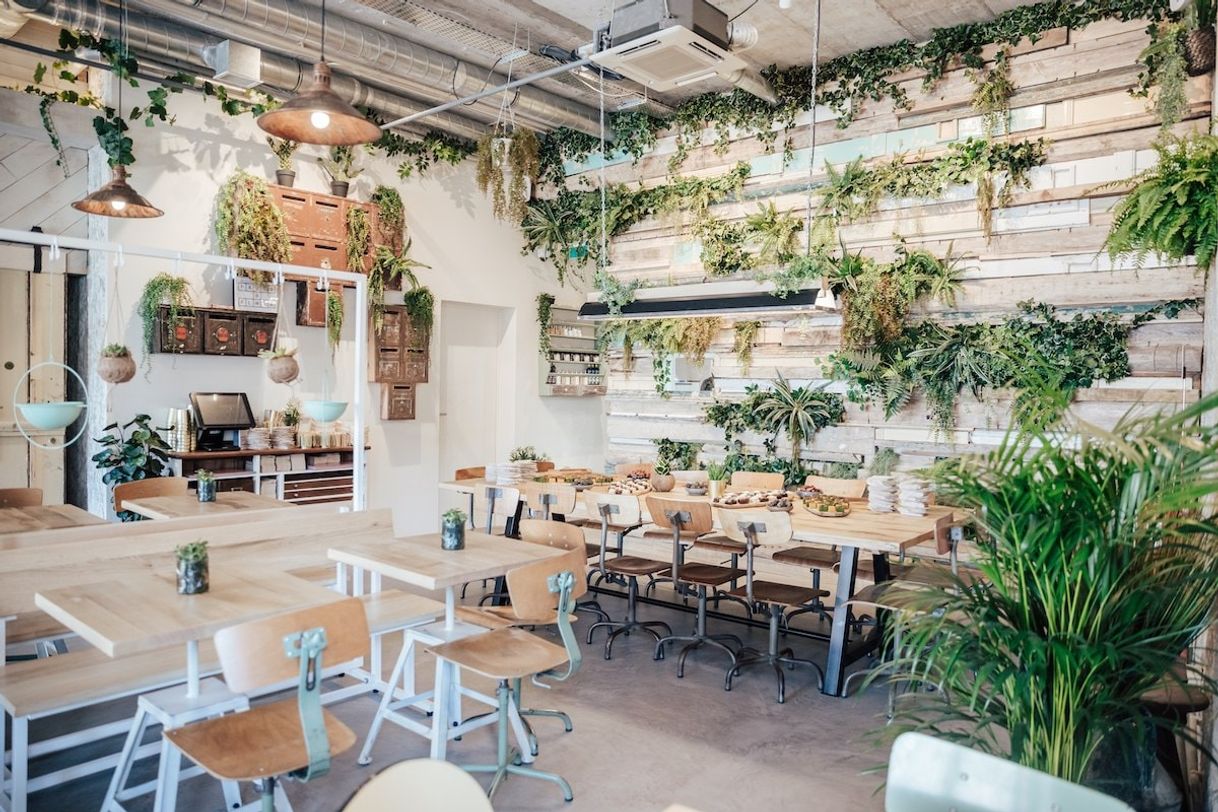 Lugar Fauna & Flora @ LACS