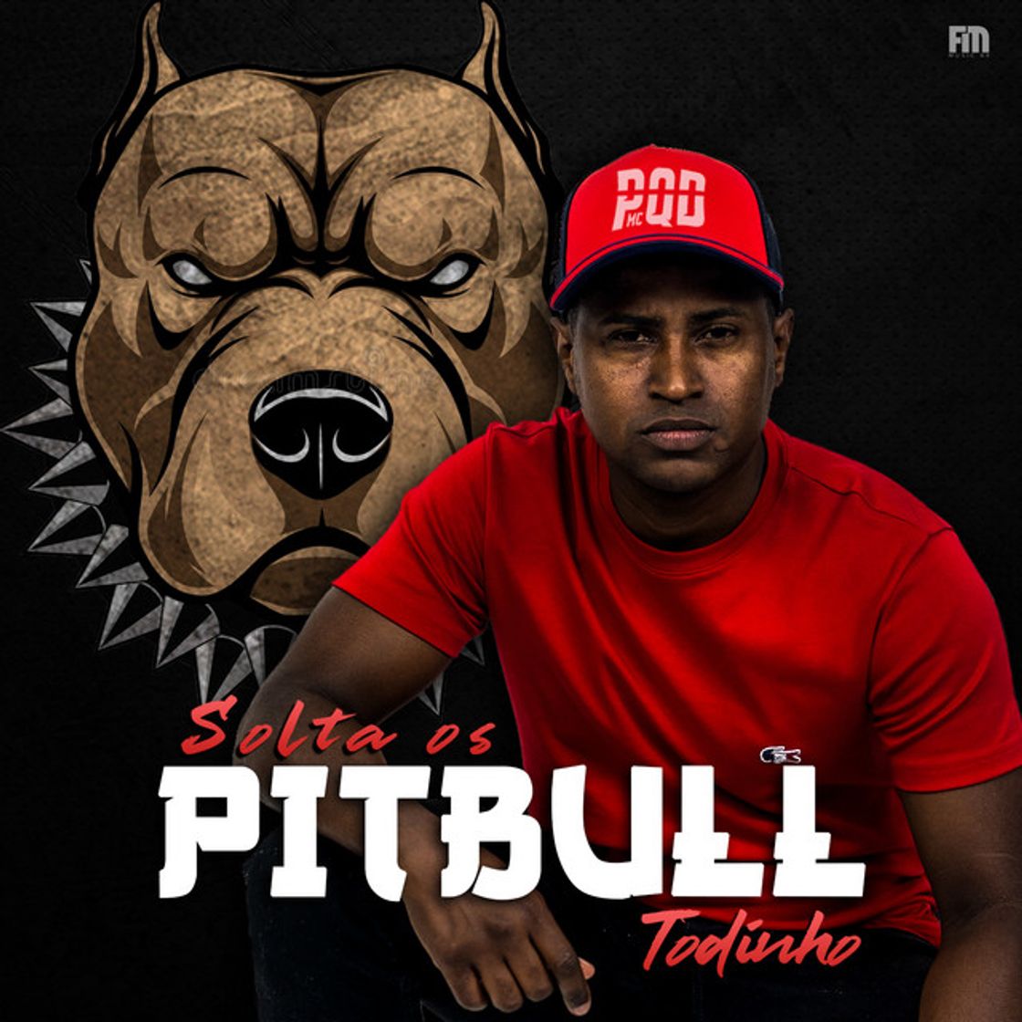 Music Solta os Pitbull Todinho