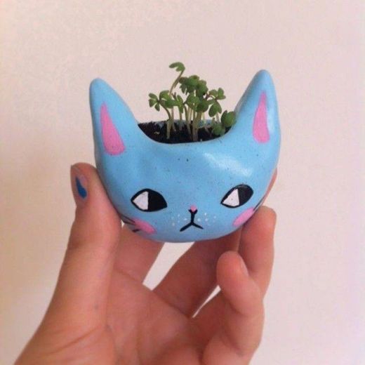 plantas 🐱✨💙