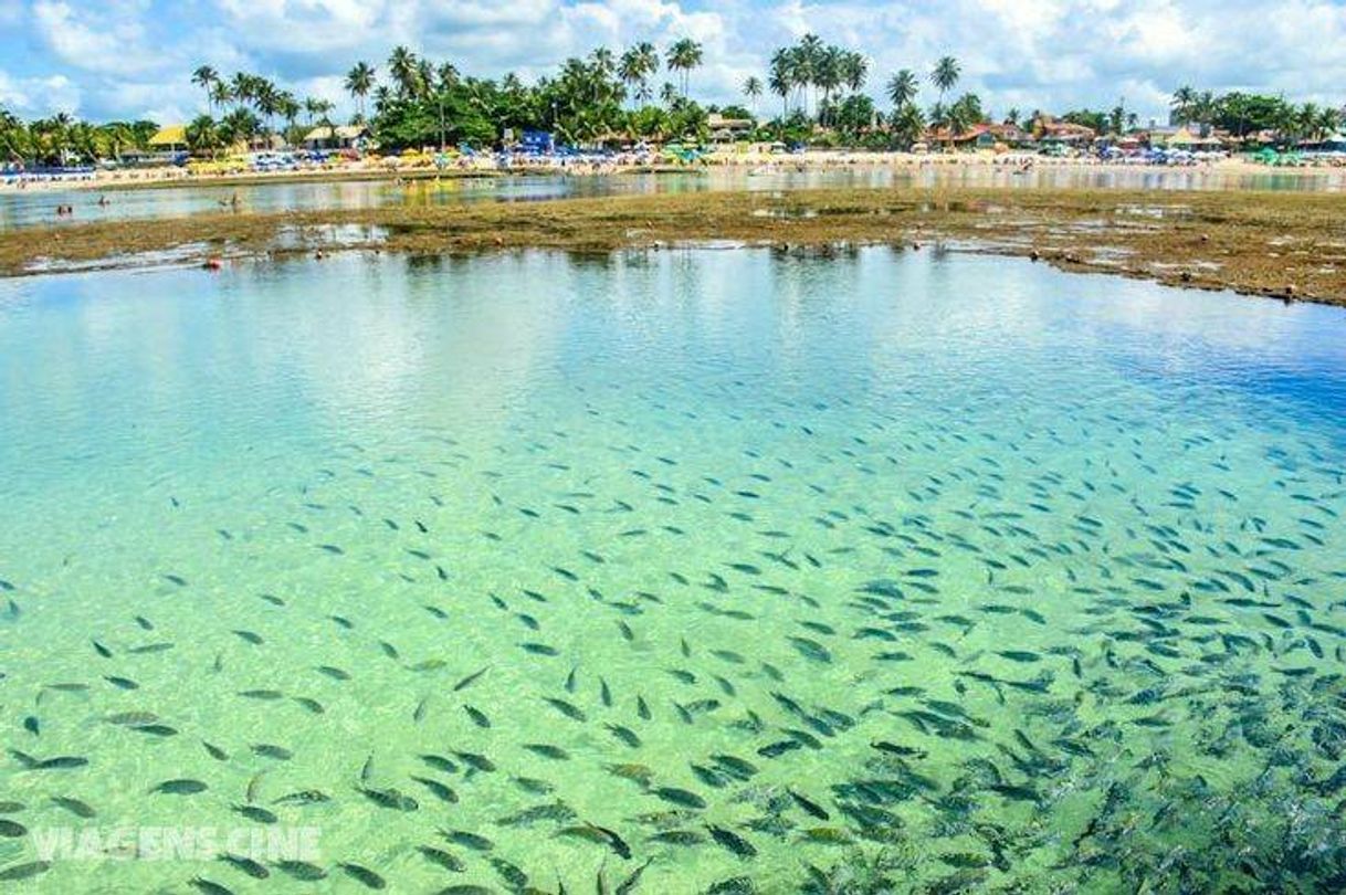 Moda Porto de Galinhas