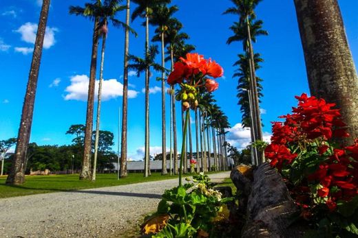 Parque da Cidade - Prefeitura de São José dos Campos