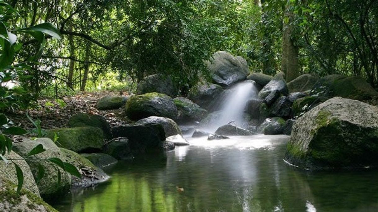 Lugar Parque Gulbenkian