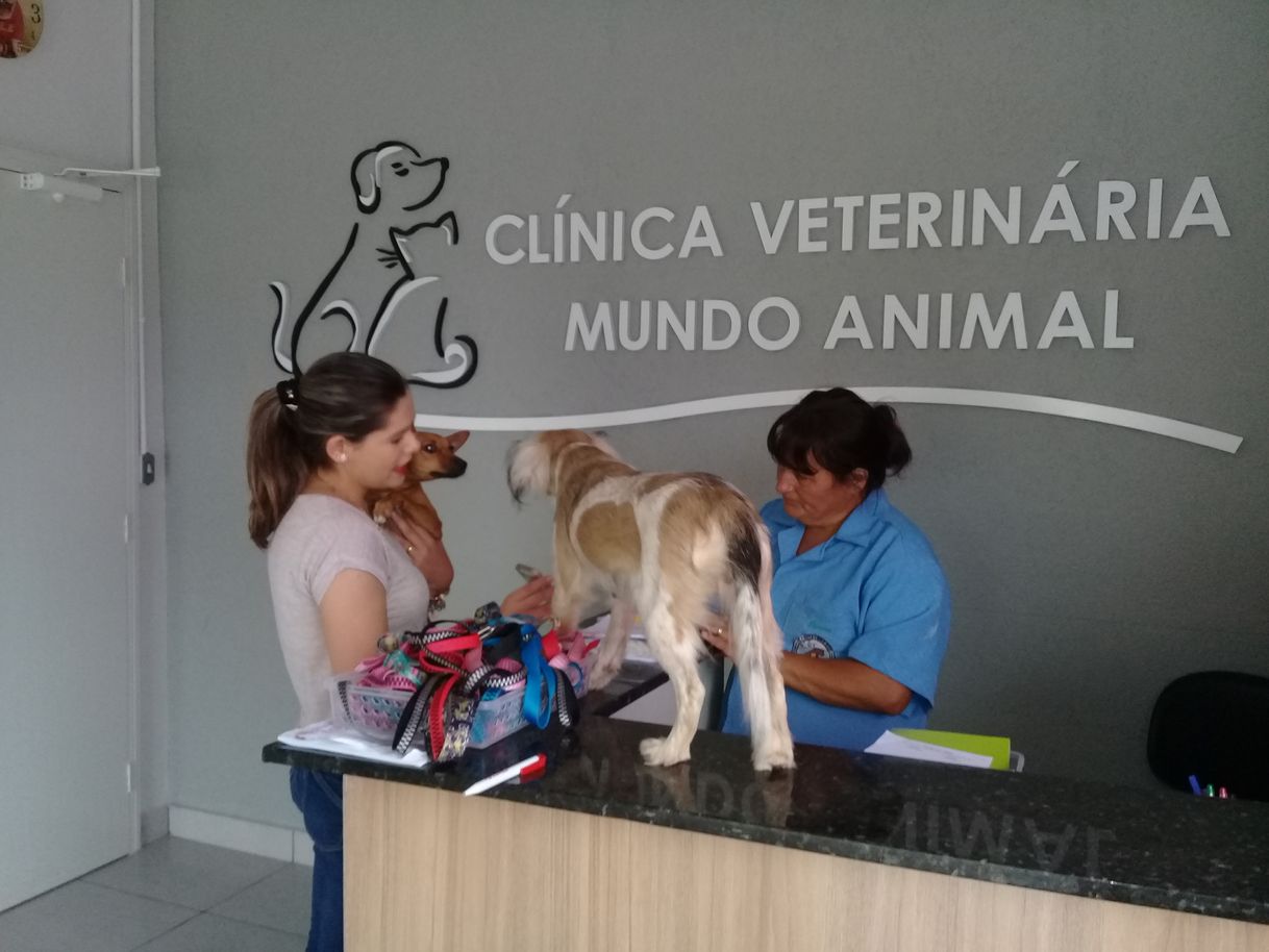 Products CLINICA VETERINARIA "MUNDO ANIMAL"