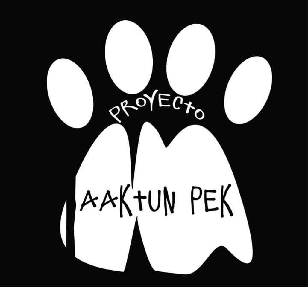 Productos Proyecto Aaktun Pek