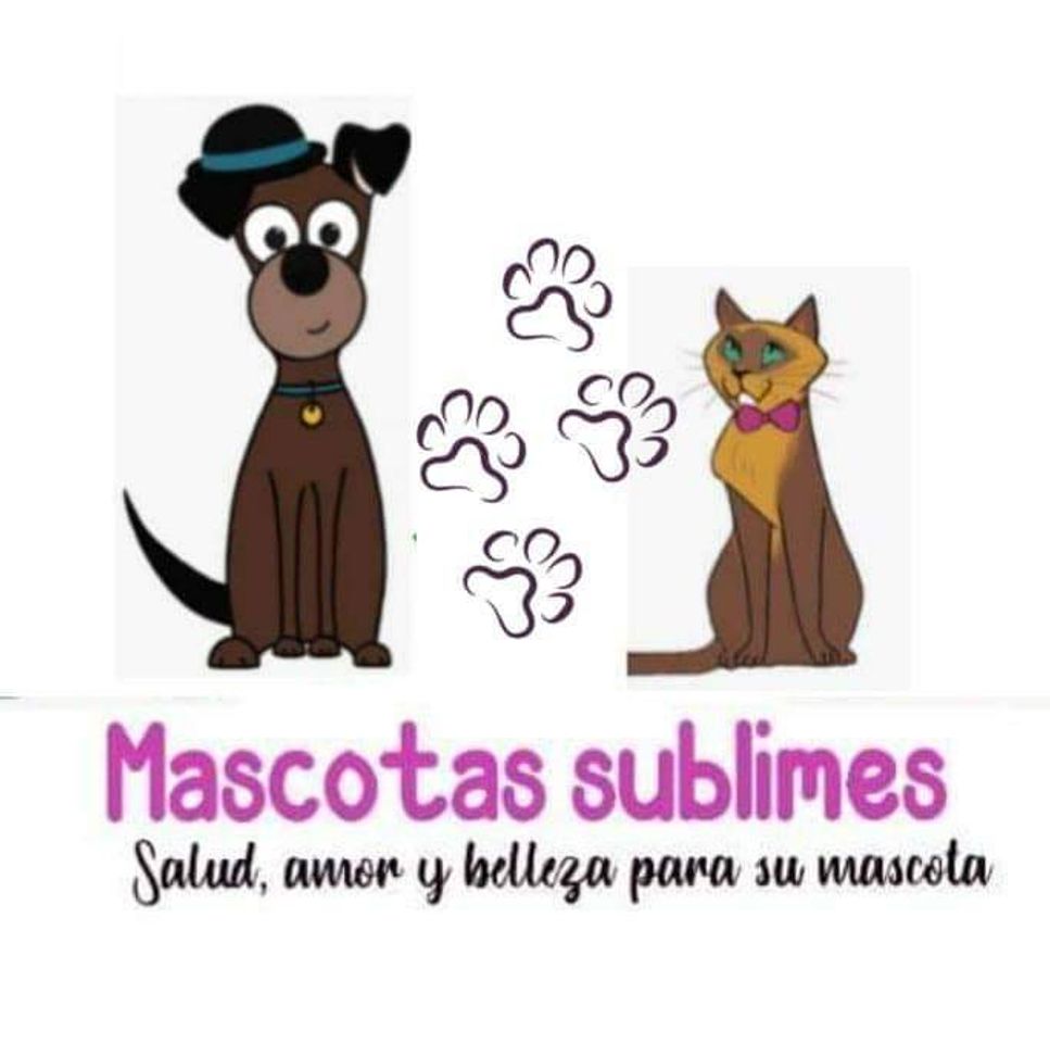 Places MASCOTAS SUBLIMES YUCATAN