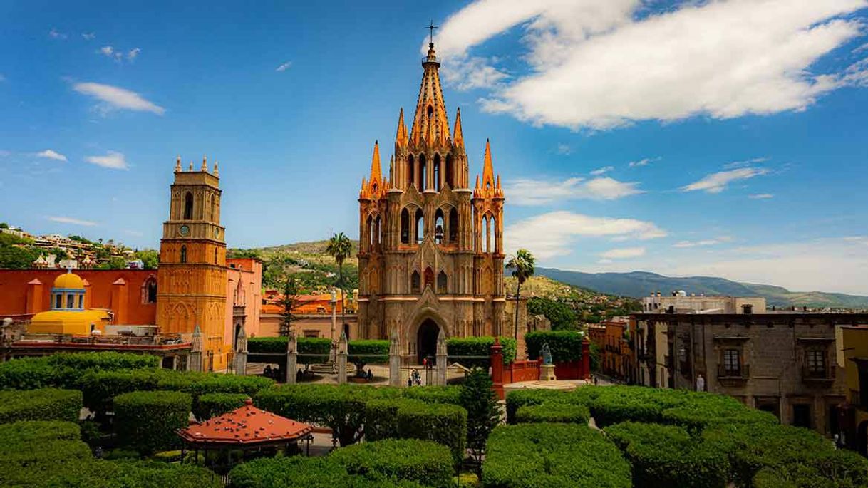 Place San Miguel de Allende