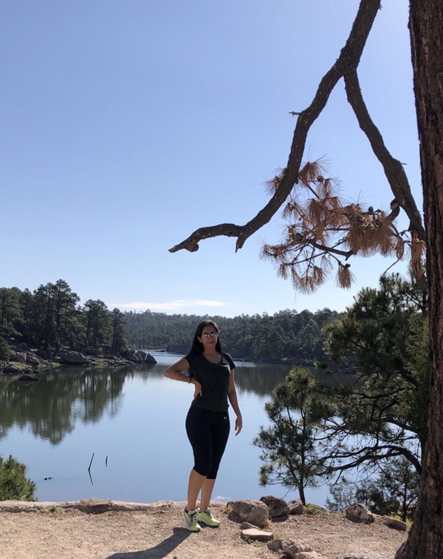 Lugar Lago de Arareco