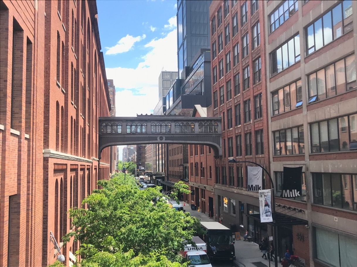 Place The High Line