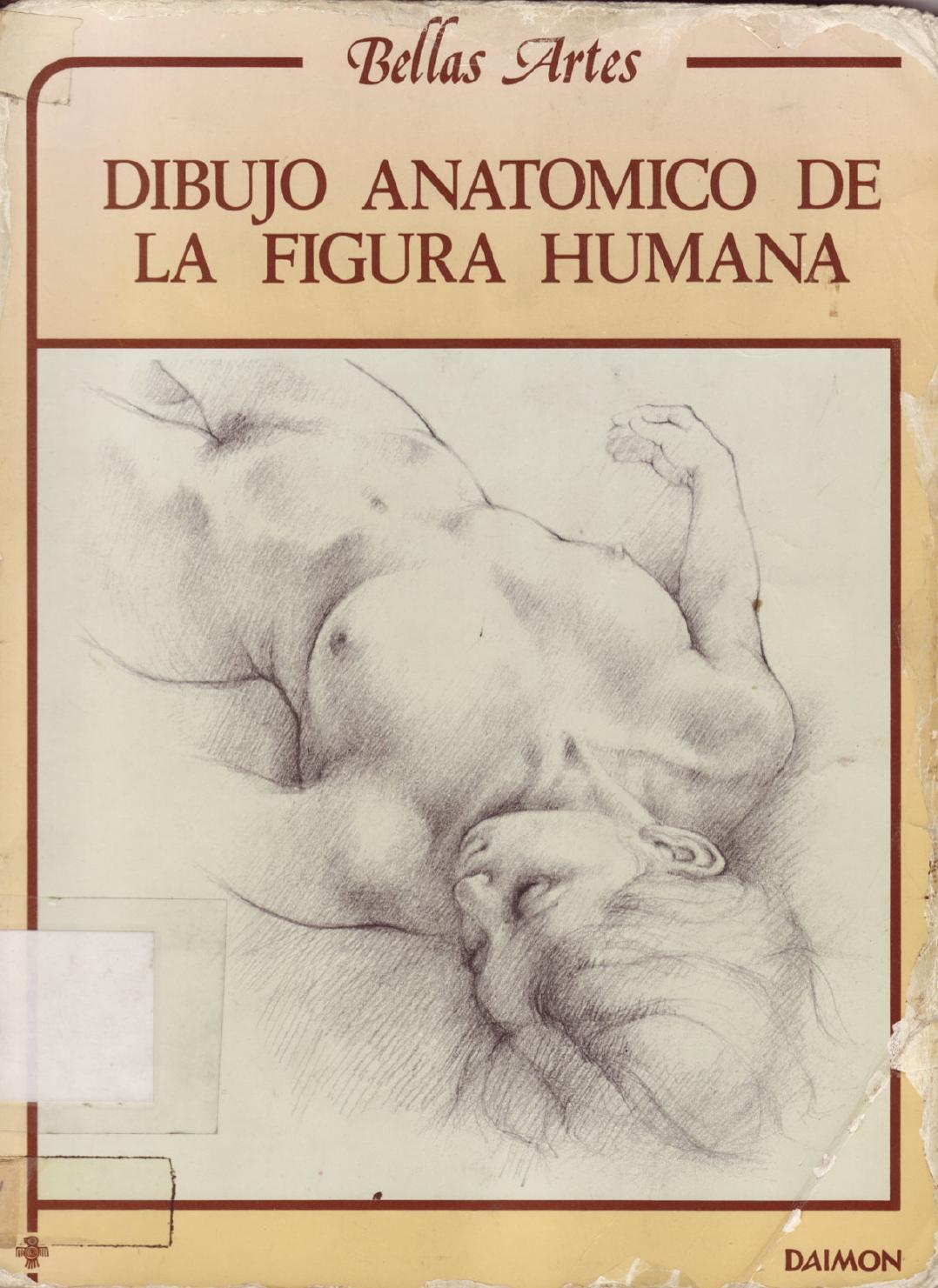 Book Anatomia artistica-dibujo-anatomico-de-la-figura-humana-