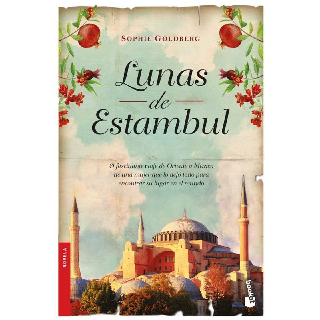 Libro Lunas de Estambul