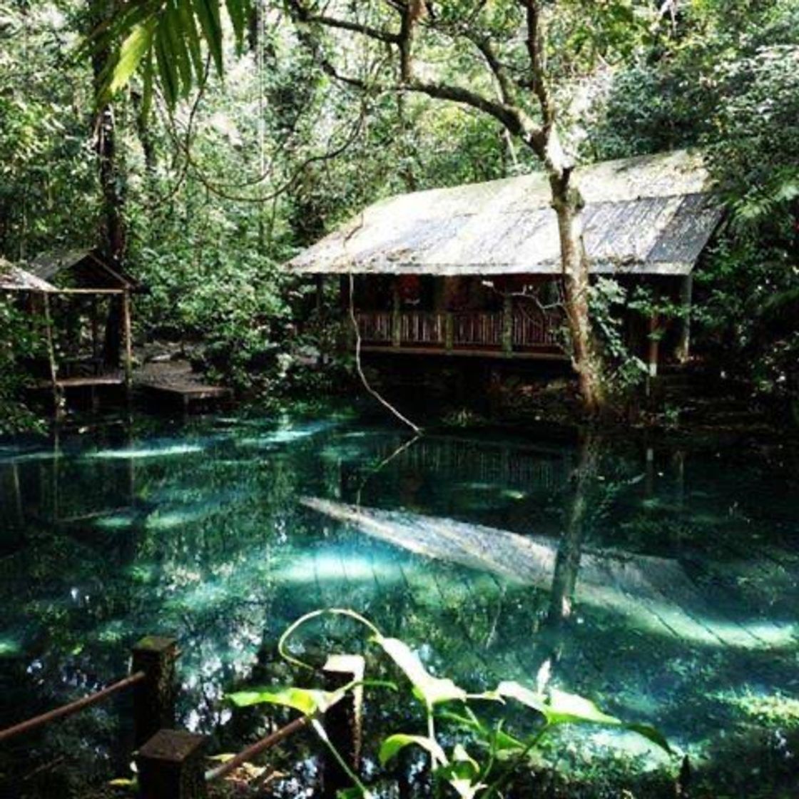 Lugar Reserva Ecológica De Nanciyaga