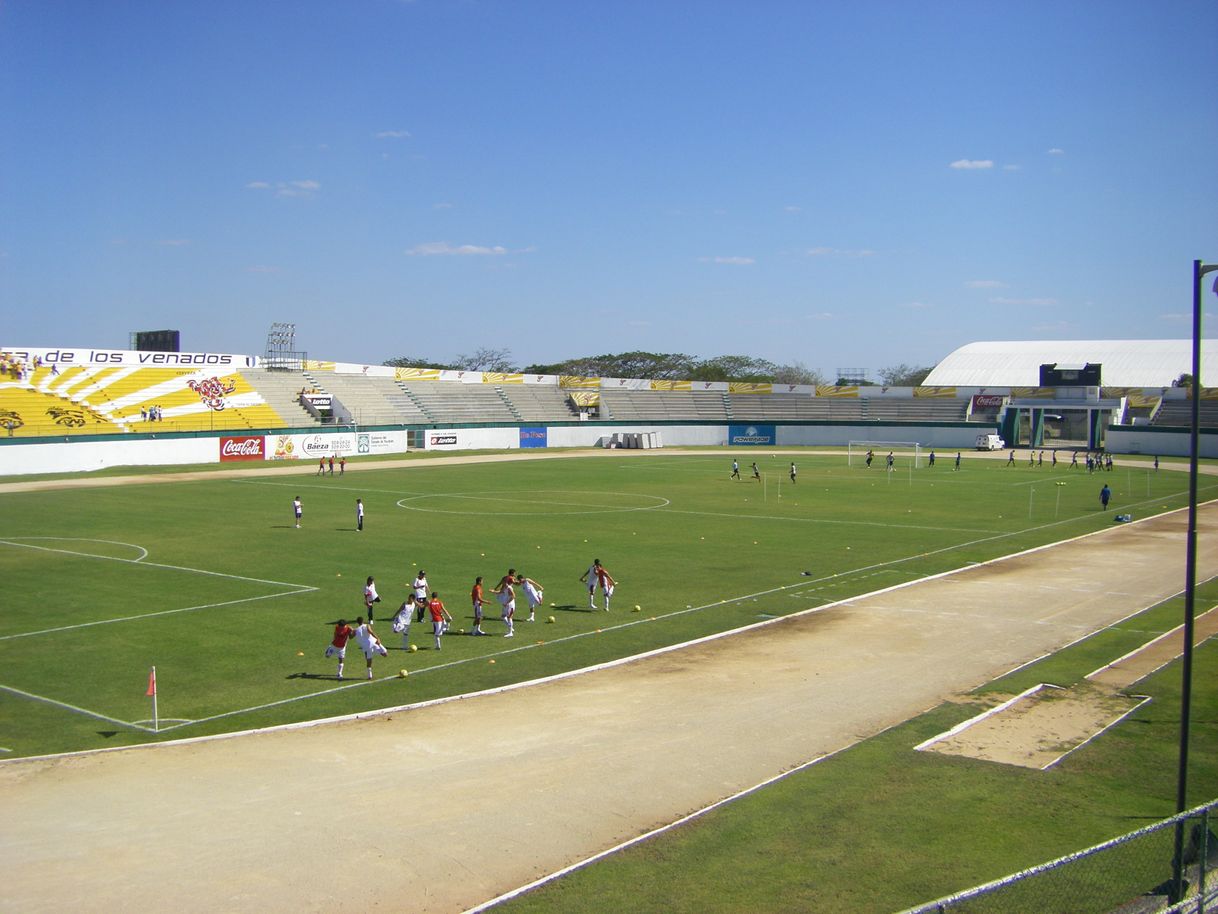 Lugares Estadio Carlos Iturralde Rivero