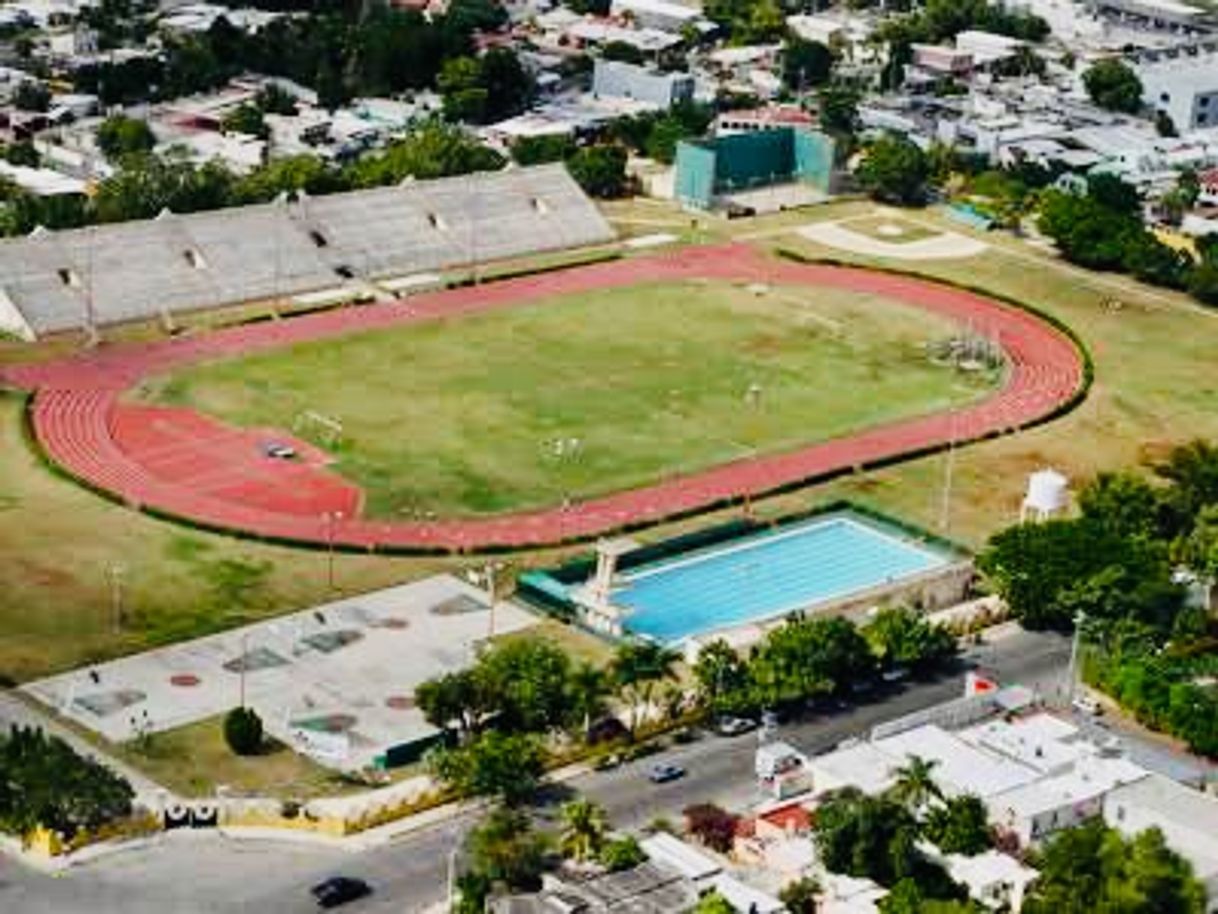 Lugares Estadio Gral. Salvador Alvarado