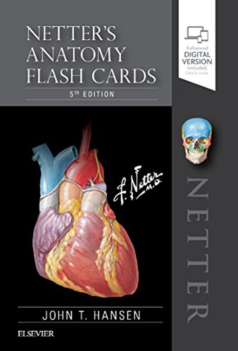 Producto Netter's Anatomy Flash Cards, 5e