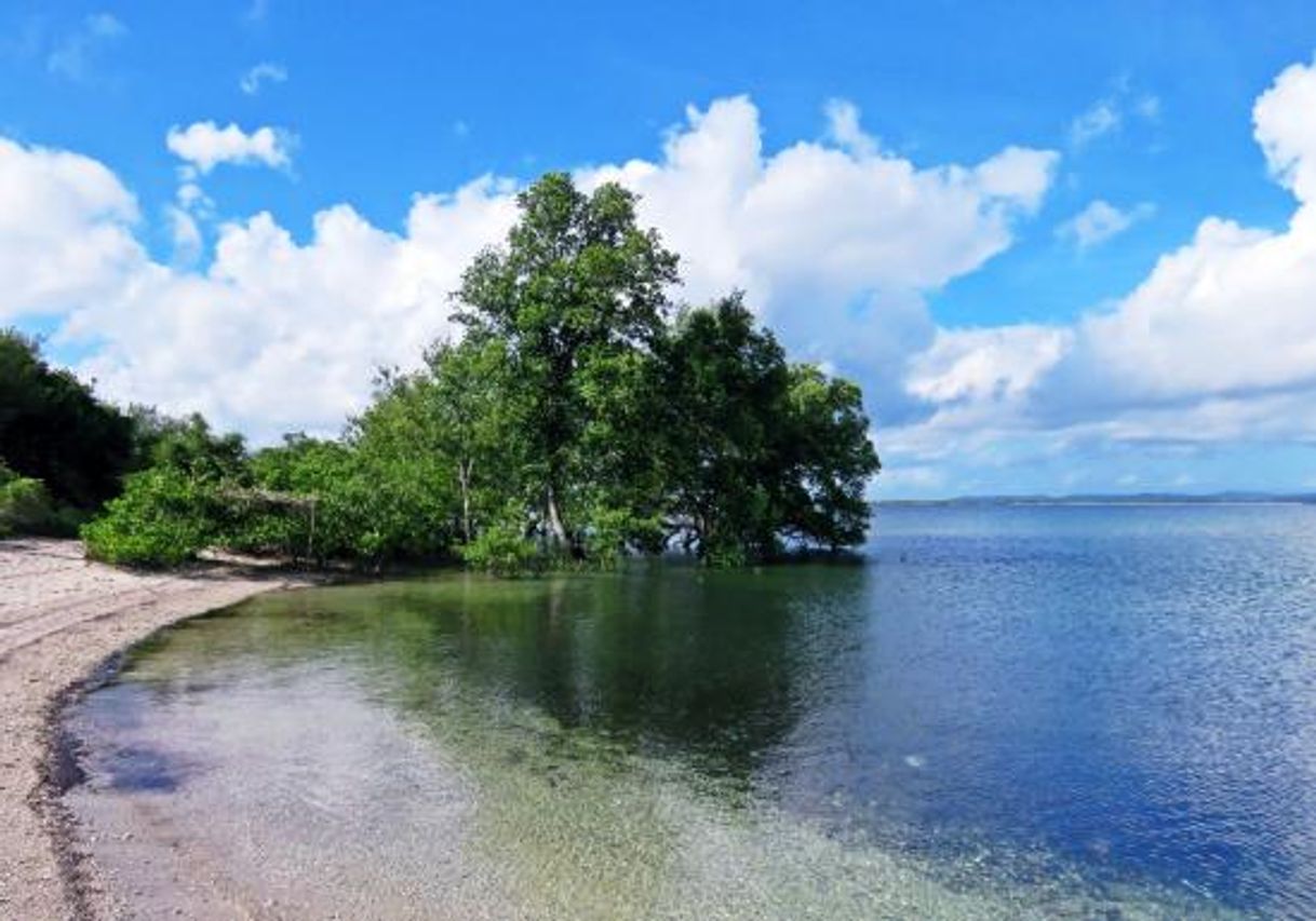 Place Ilha do Medo