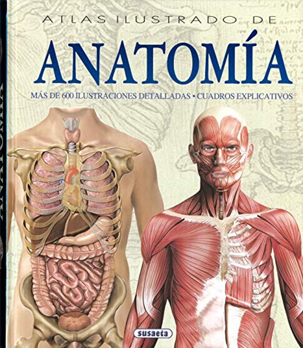 Moda Atlas Ilustrado De Anatomia