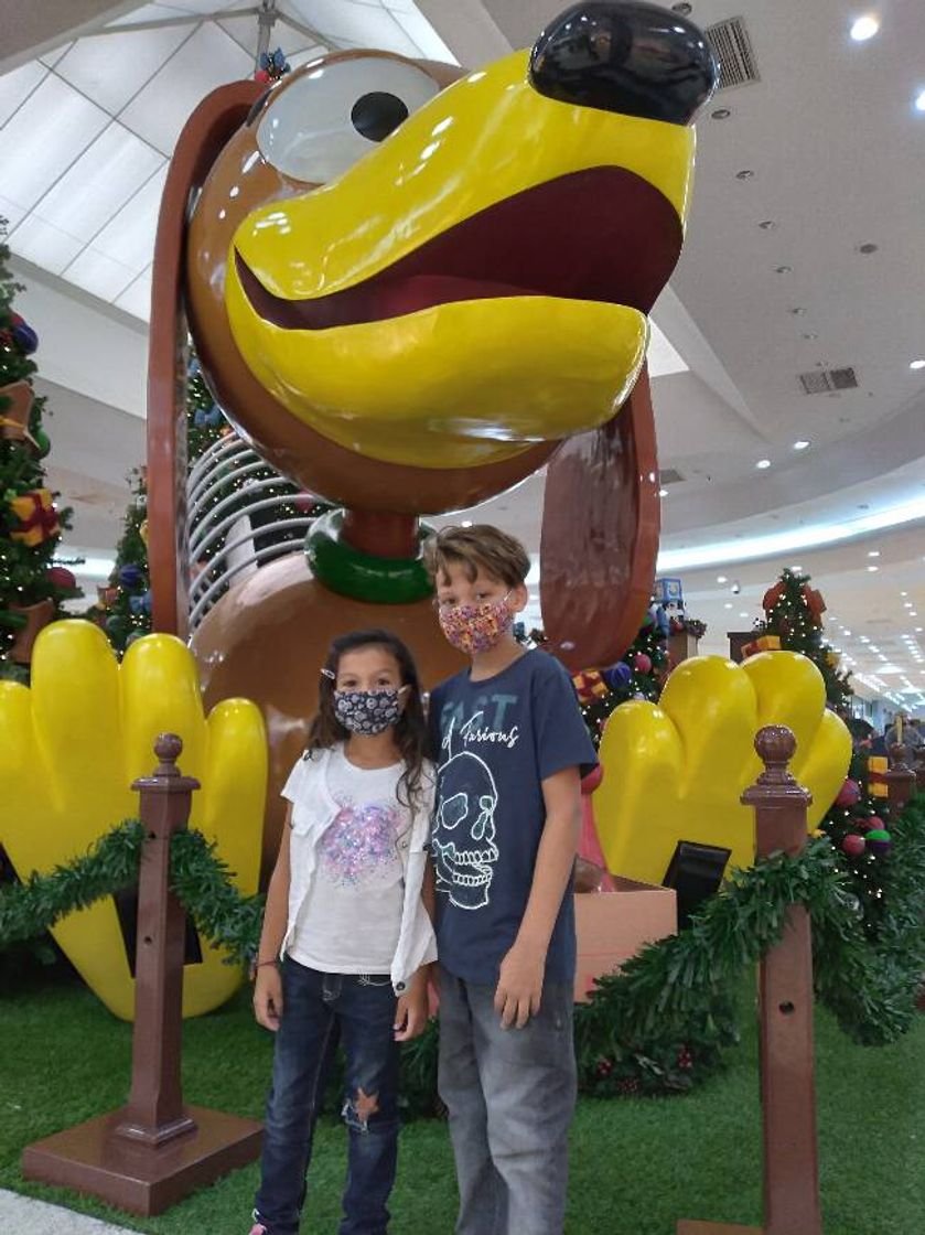 Place Shopping Litoral Plaza - Montanha Russa