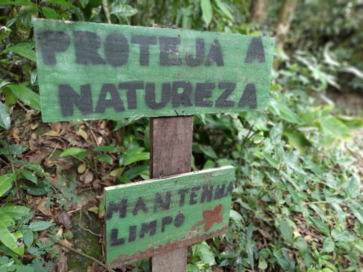 Social Cachoeira 