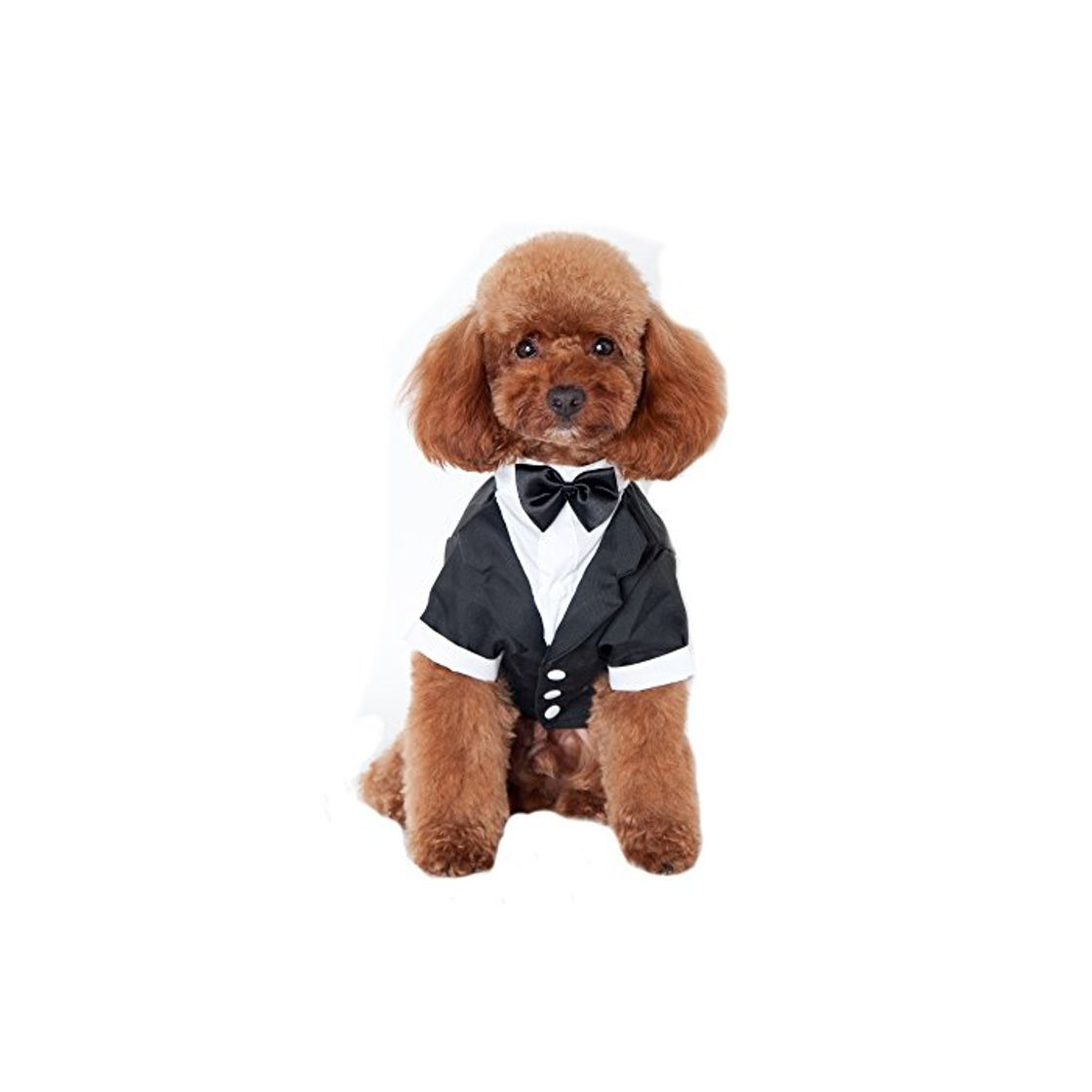 Social Keysui Mascotas fiesta traje Formal traje ropa abrigo para perros ropa