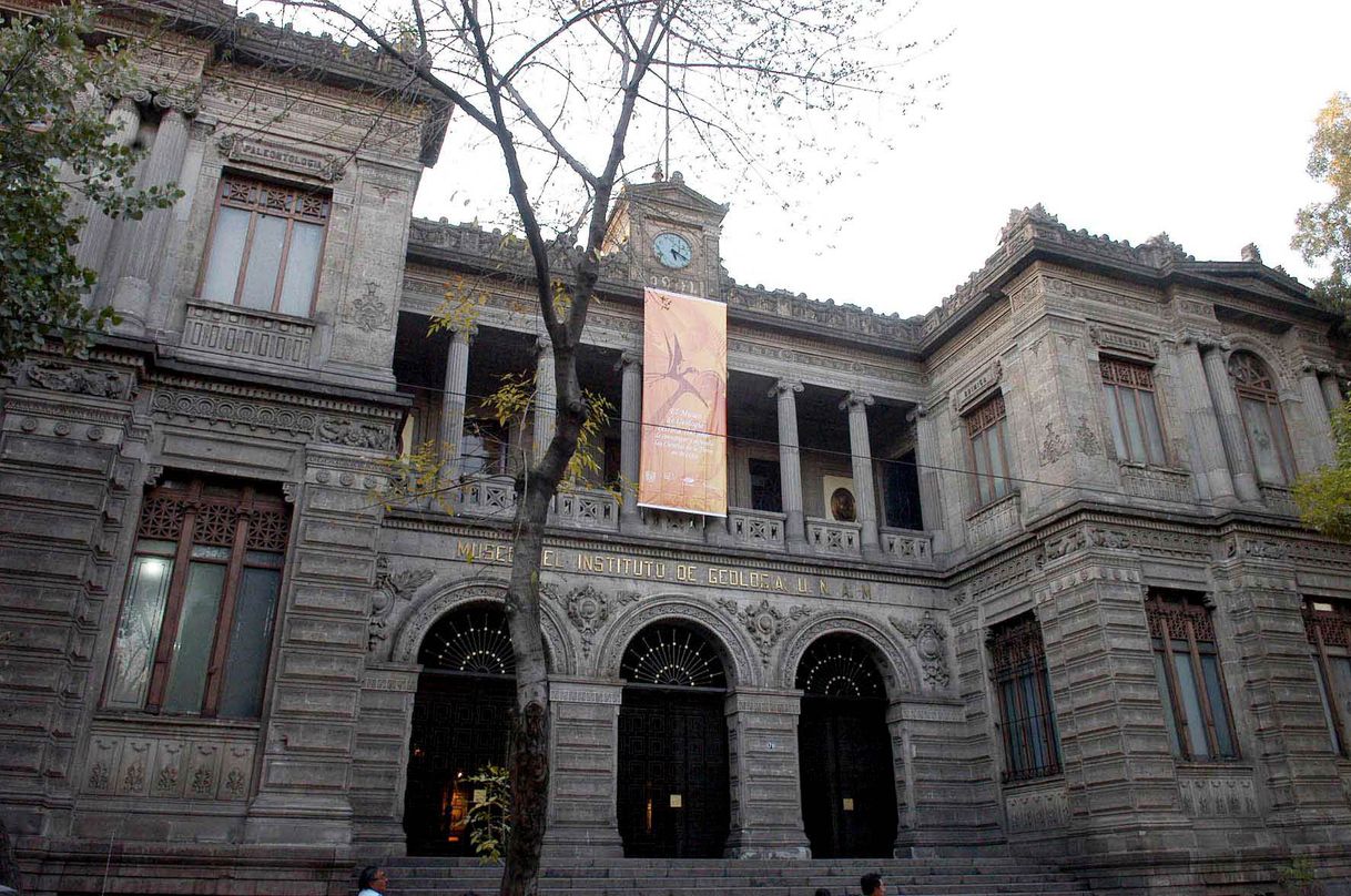 Place Museo del Instituto de Geología de la UNAM