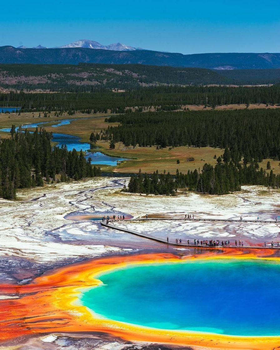 Lugar Parque Nacional Yellowstone