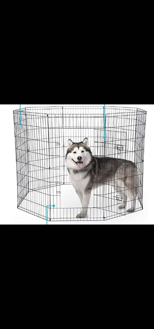 Social Corral para perro 