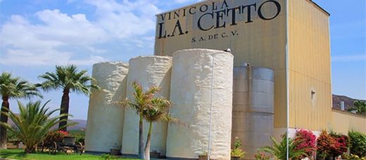 L.A. CETTO - Vinícola