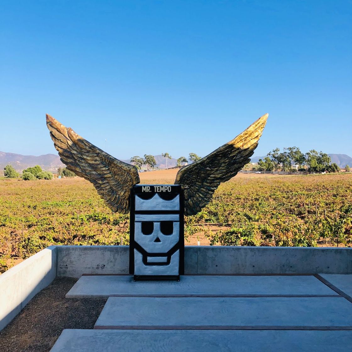 Restaurantes King and Queen Cantina Valle de Guadalupe