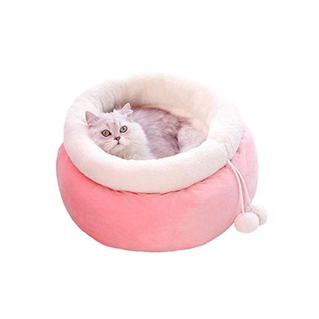 Productos BingoPaw Cama para Gatos Redonda