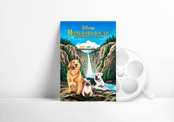 Película De vuelta a casa: Un viaje increíble